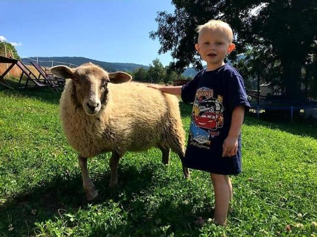 Chata U Kostela Dolni Misecky Dış mekan fotoğraf