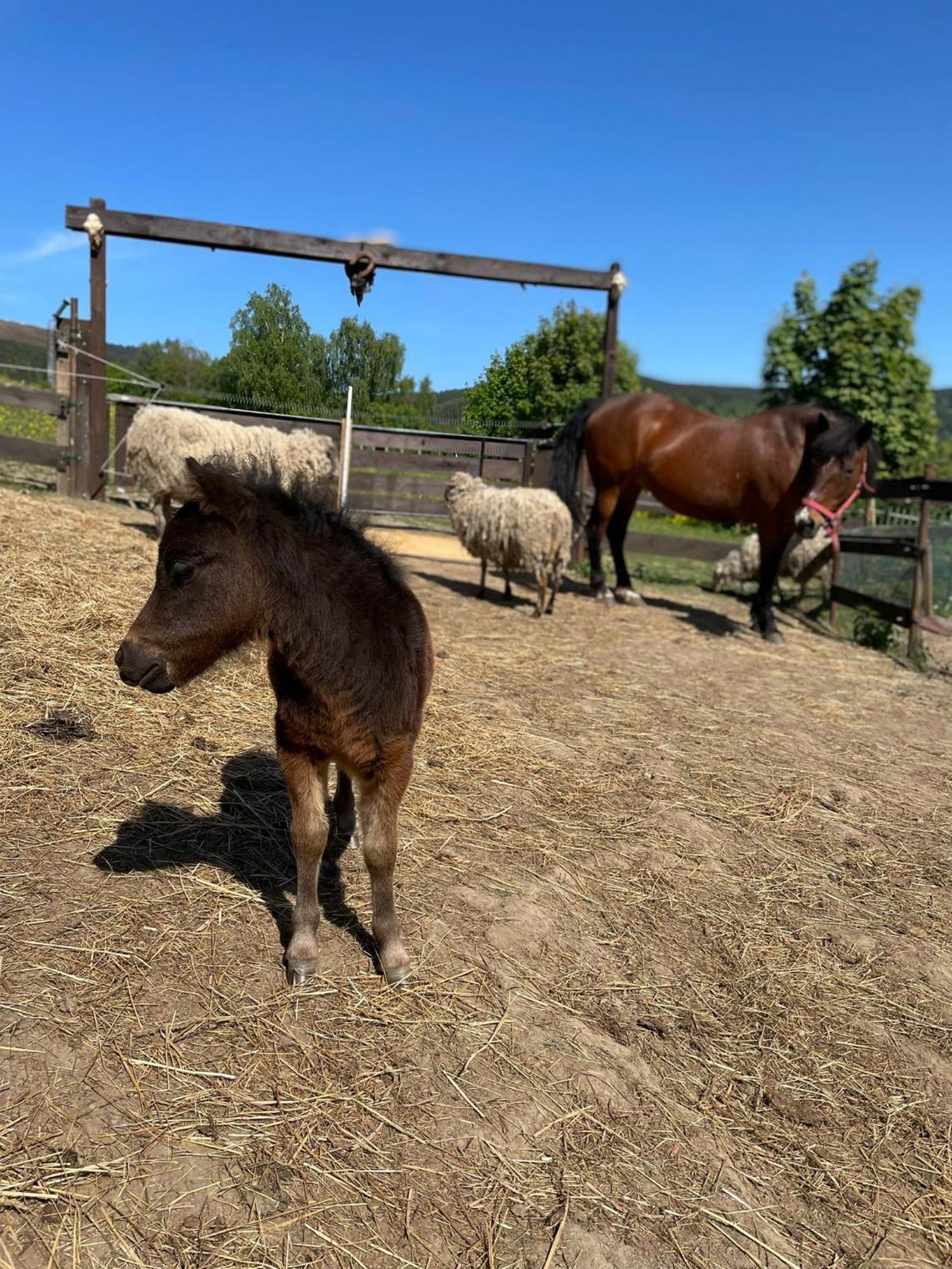 Chata U Kostela Dolni Misecky Dış mekan fotoğraf